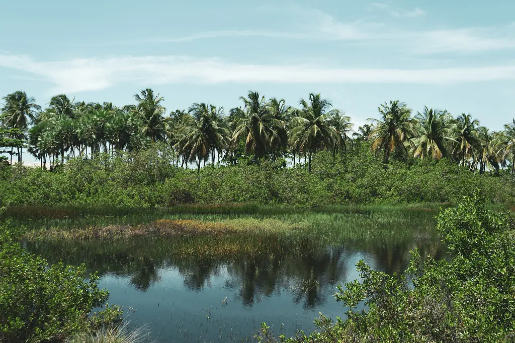 CAM8959 camila othon