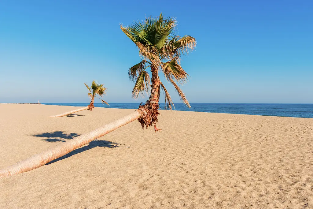 Le Barcarès Coastline (2)