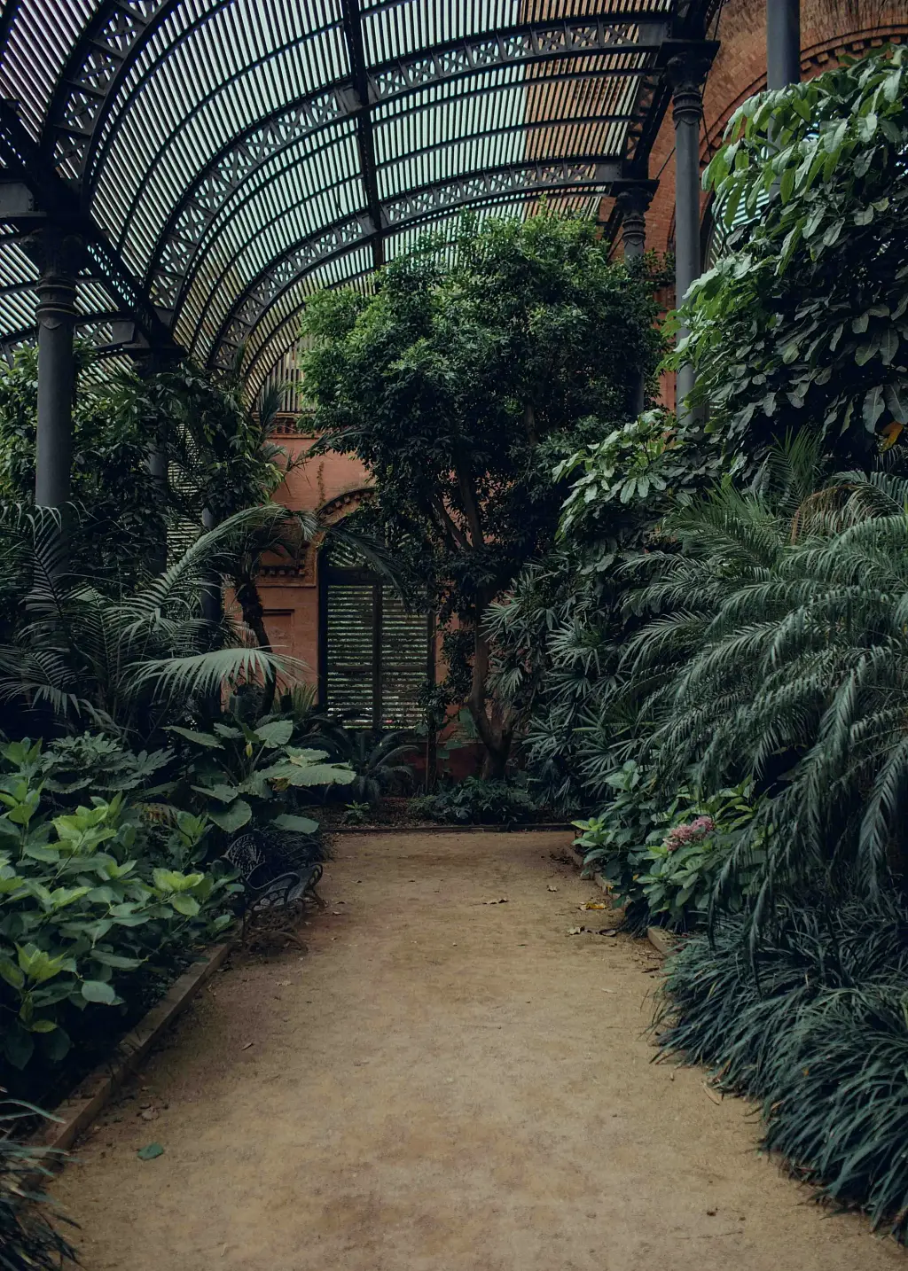 Biophilic design plants